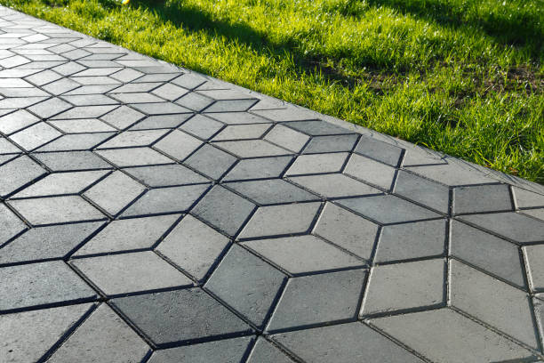 Best Local Driveway Pavers  in Bladenboro, NC