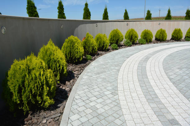 Best Residential Paver Driveway  in Bladenboro, NC